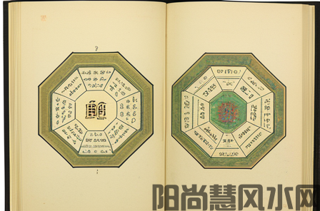 风水乌龟一般养几只呢(图1)